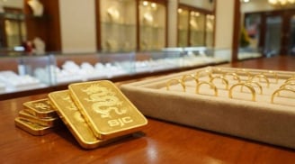 Giá vàng hôm nay 31/1/2026: Lao dốc gần 20 triệu đồng chỉ sau 2 ngày, nhà đầu tư choáng váng