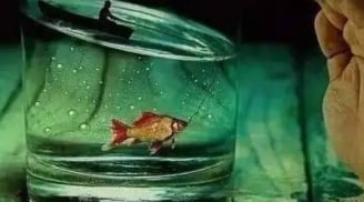 Trắc nghiệm tâm lý: Ai sẽ là quý nhân của cuộc đời bạn?