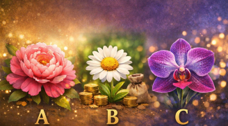 Quiz: Tháng 2 dương lịch này, tài vận của bạn đang nở rộ hay cần 'bảo dưỡng'?