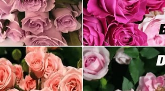 Trắc nghiệm tâm lý: Về già, ai sẽ là chỗ dựa vững chắc nhất của bạn?