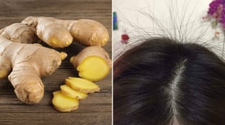 Cách gội đầu bằng gừng tươi chữa rụng tóc đơn giản, tóc con mọc lên tua tủa