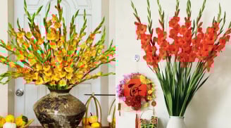 Mẹo cắm hoa Lay ơn chơi Tết nở đều tăm tắp, để cả tuần vẫn tươi rói