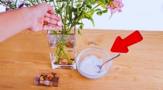 Cắm hoa chơi Tết cứ làm thêm 1 bước, hoa tươi rói đến tận Rằm tháng Giêng