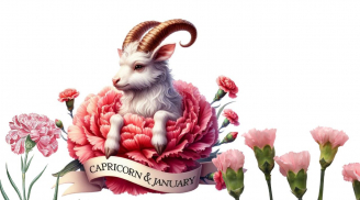 Thứ năm, sáu 5-6/2: 3 cung hoàng đạo có cơ hội bật tăng lương thưởng mạnh mẽ