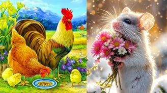 10 ngày tới: 3 tuổi cần tránh một quyết định kẻo lỡ vận lớn