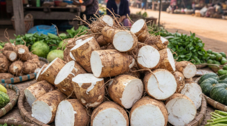 Cách hỗ trợ thải độc gan tự nhiên bằng loại củ đang vào mùa, dễ tìm ở chợ