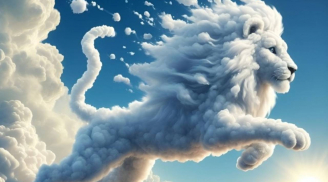 Trắc nghiệm nhanh: Bạn hợp khởi nghiệp hay nên làm công ăn lương để ổn định lâu dài?