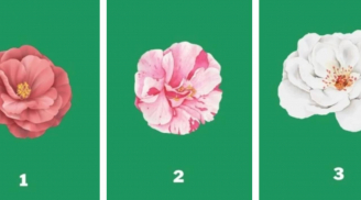 Trắc nghiệm tâm lý: Năm nay bạn có dễ gặp đúng người định mệnh không?