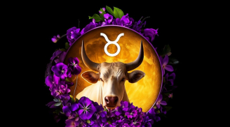 Kiên nhẫn là thắng: Năm 2026, 3 cung hoàng đạo càng chậm càng thấy “vàng” trên đường đi