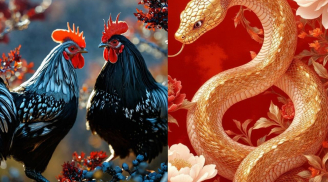 Thứ bảy-chủ nhật (7-8/2) ở nhà cũng không yên: 3 tuổi dễ vướng hoạ, thị phi gõ cửa, im lặng là khôn ngoan