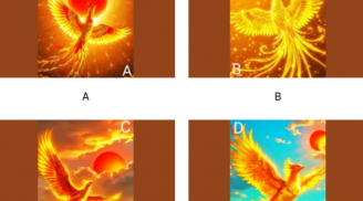 Trắc nghiệm tâm lý: Chọn 1 phượng hoàng lửa theo trực giác để khám phá bản thân