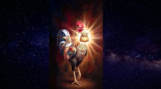 Trước Tết Bính Ngọ, 3 tuổi này vẫn kịp đảo ngược tài chính, tiền tới bất ngờ