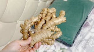 5 lợi ích khi đặt một củ gừng cạnh gối khi ngủ