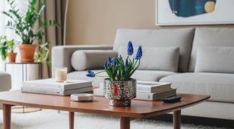 Loài hoa nhỏ xíu đang “lên ngôi” Tết này: Giá chỉ vài chục nghìn mà bày đâu cũng thấy sang