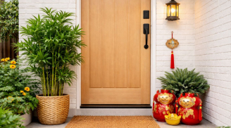  Đầu năm đặt 3 thứ này trước cửa, vận may gõ cửa sớm hơn bạn nghĩ