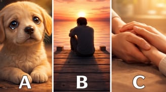 Quiz: Chọn 1 hình ảnh thu hút nhất để xem bạn có phải người giàu cảm xúc, dễ mềm lòng?