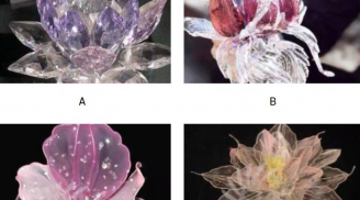 Trắc nghiệm tâm lý: Hình ảnh bạn nhìn thấy đầu tiên tiết lộ con người thật bên trong bạn