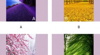 Trắc nghiệm tâm lý: Phong cảnh bạn yêu thích tiết lộ cuộc sống sau tuổi 50