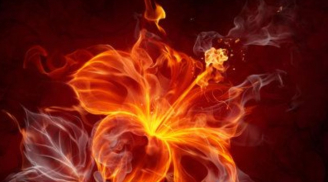 Trời rèn người bằng thử thách: 3 tuổi vượt gian nan, giữ lương thiện thì càng già càng giàu, phúc lớn lộc lớn