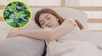 Điều khi xảy ra với cơ thể khi thường xuyên sử dụng gối ngải cứu?