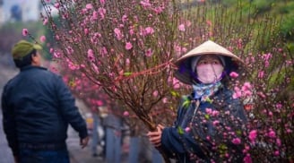 Tết Nguyên Đán 2026, thời tiết Hà Nội có mưa rét không?