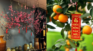 3 vị trí không nên đặt cây quất, cây đào ngày Tết: Là đại kỵ khiến tiền của đội nón ra đi