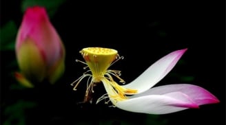 Có 3 lý do vô cùng chính đáng để bạn ngừng mọi đau khổ