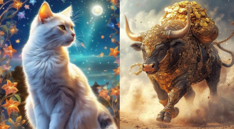 Năm Bính Ngọ: 3 tuổi sẽ 'lắng lại' để chuẩn bị cú bật mạnh, đừng vội nản lòng