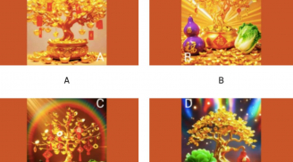 Trắc nghiệm tâm lý: Chọn một cây phát tài theo trực giác để khám phá vận may của bạn