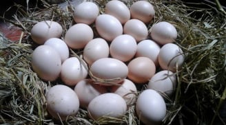 5 người dù thích cũng không nên ăn trứng