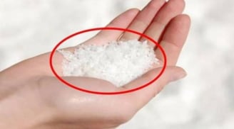 Mẹo giải đen bằng muối năm Bính Ngọ 2026: Cách xua tà khí, hút tài lộc và mang sung túc vào nhà