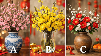 Quiz: Chọn 1 bình hoa bạn thích nhất hé lộ niềm vui lớn nhất của bạn dịp Tết này
