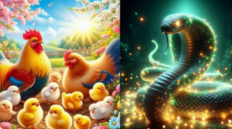 Càng về cuối tháng 2, 3 tuổi này càng rực sáng tài vận, tiền bạc khởi sắc rõ rệt