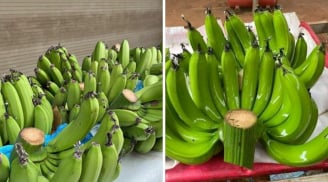 Chọn chuối thắp hương ngày Tết: 5 điều nên tránh để không “hao” lộc, đen đủi trong năm mới