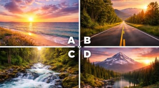 Quiz: Chọn 1 hình ảnh để dự đoán tương lai 3 tháng tới của bạn