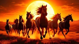 Sau giao thừa Bính Ngọ: 4 tuổi tăng mạnh tự tin, tài vận khởi sắc rõ rệt