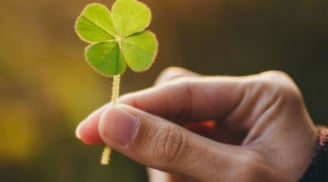 Đầu năm gieo phúc đón lộc: 3 con giáp chăm làm việc thiện, tài vận càng khởi sắc