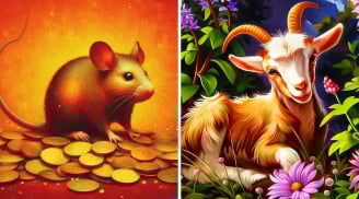 3 tuổi Tiền Vào Như Nước trong tháng Giêng Bính Ngọ: 1 tuổi đại cát đại lợi, ngồi không có của