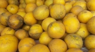 Cách bảo quản bưởi sau Tết tươi đến 6 tháng không hỏng