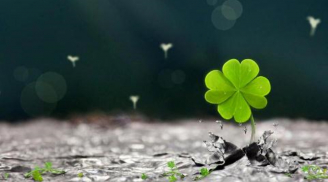 5 bí quyết để năm mới vui vẻ, may mắn và thành công