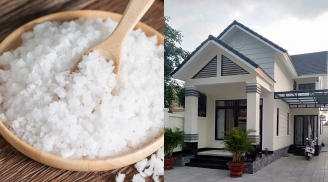 Đầu năm đặt muối ở vị trí này trong nhà, gia chủ công việc thuận lợi, làm đâu thắng đó