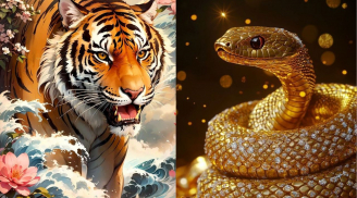 Đầu năm ham vui dễ gặp hoạ: 3 con giáp cần đặc biệt cẩn trọng khi đi xa, tiệc tùng