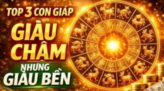 Giàu Chậm Nhưng Bền, 3 con giáp Chạm Đỉnh Tiền Tài, 1 tuổi vươn lên hứng lộc