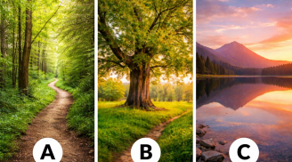 Quiz: Hình ảnh bạn nhìn thấy đầu tiên có thể tiết lộ vận may sắp tới của bạn