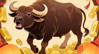 Thứ Hai, thứ Ba (23-24/2), 3 tuổi công việc suôn sẻ, mở bát năm mới cực đỏ