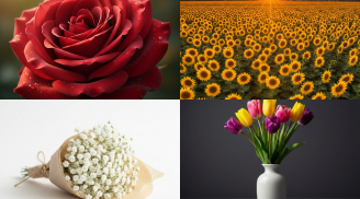 Trắc nghiệm tâm lý: Chọn 1 bông hoa bạn thích nhất để lộ gu chọn người yêu tinh tế đến mức nào?