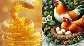 Từ 25-28/2 dương lịch: 2 tuổi bất ngờ nổ lộc, 1 tuổi gặp cơ hội thăng tiến nếu biết mở lời