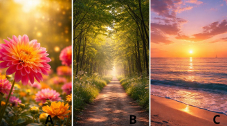 Quiz: Chọn hình ảnh bạn mà bạn thấy thu hút nhất có thể hé lộ tính cách và vận khí sắp tới