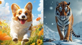 3 tuổi sắp thoát khỏi giai đoạn khó khăn, vận trình đảo chiều mạnh mẽ nếu biết tập trung làm việc