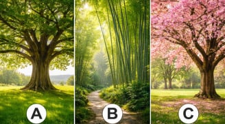 Quiz: Chọn 1 cái cây bạn thấy ấn tượng nhất  có thể tết lộ khả năng làm giàu và điều cần thay đổi